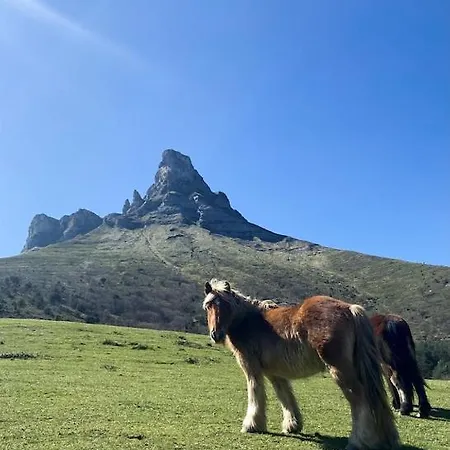 Arteondo بيت للعطل Orduña